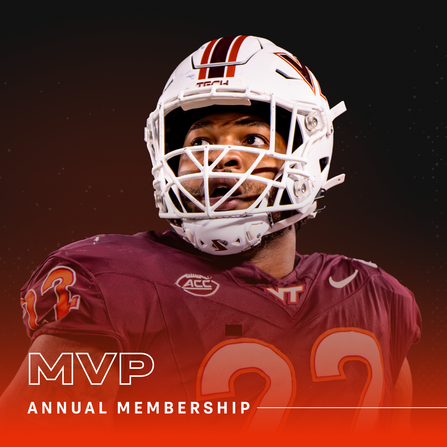 MVP - Annual Membership