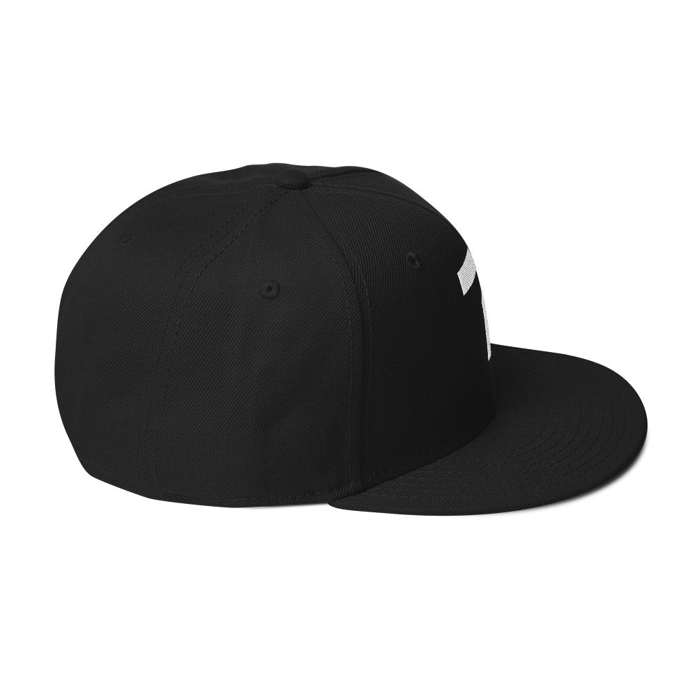 Embroidered Triumph Snapback Hat